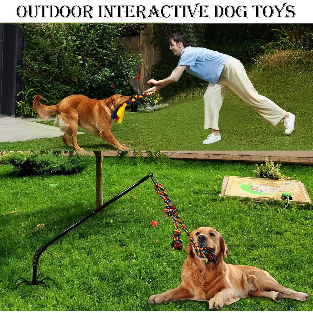 Hign-concerned Outdoor Tether Tug Dog Toy For Yard Play