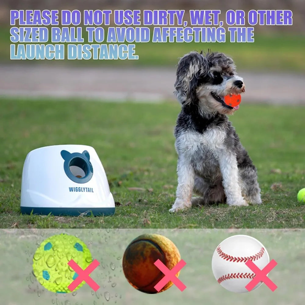 Hign-concerned Automatic Ball Launcher For Dogs 4 Distances