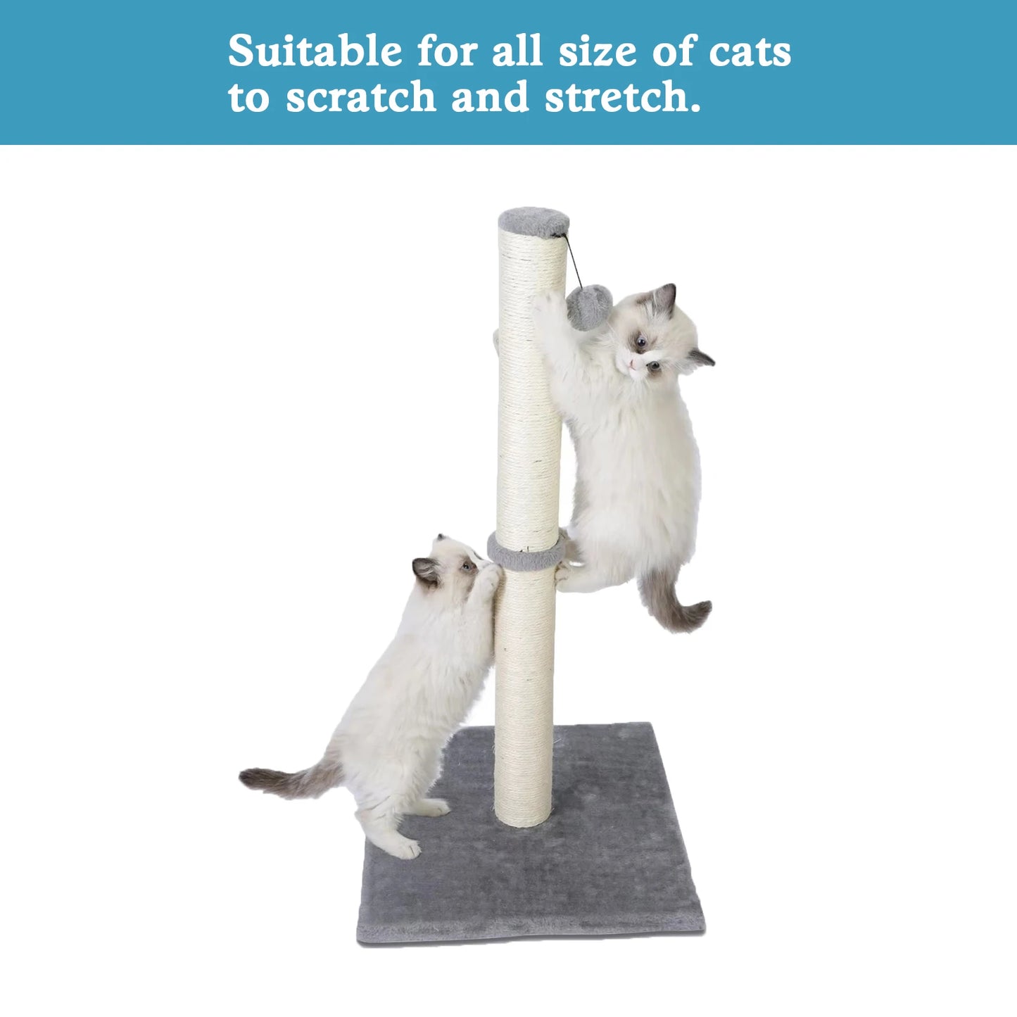 Indoor Cat Scratching Post With Dangling Ball Premium Sisal