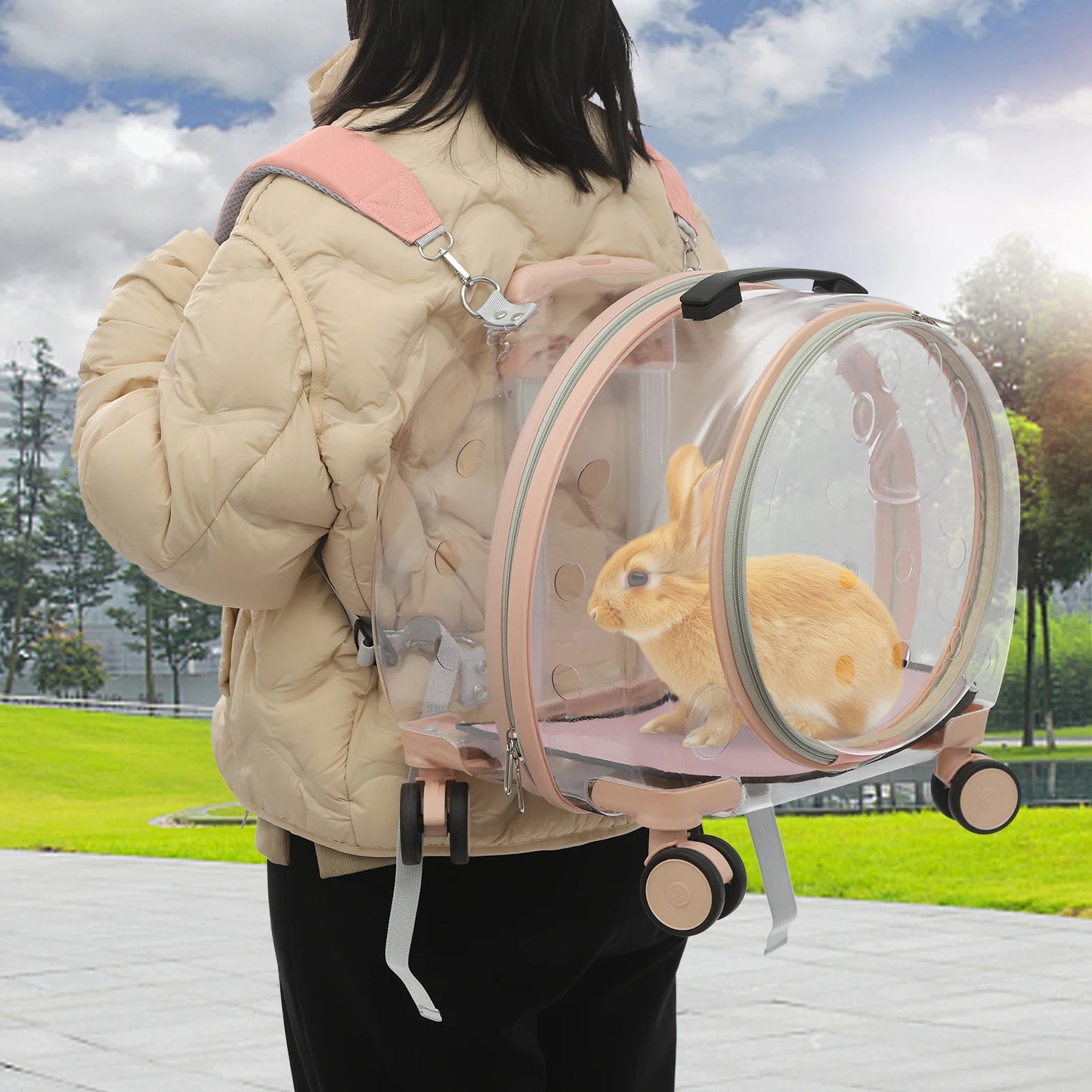 Breed Breathable Cat Carrier With Rolling Wheels For Cats