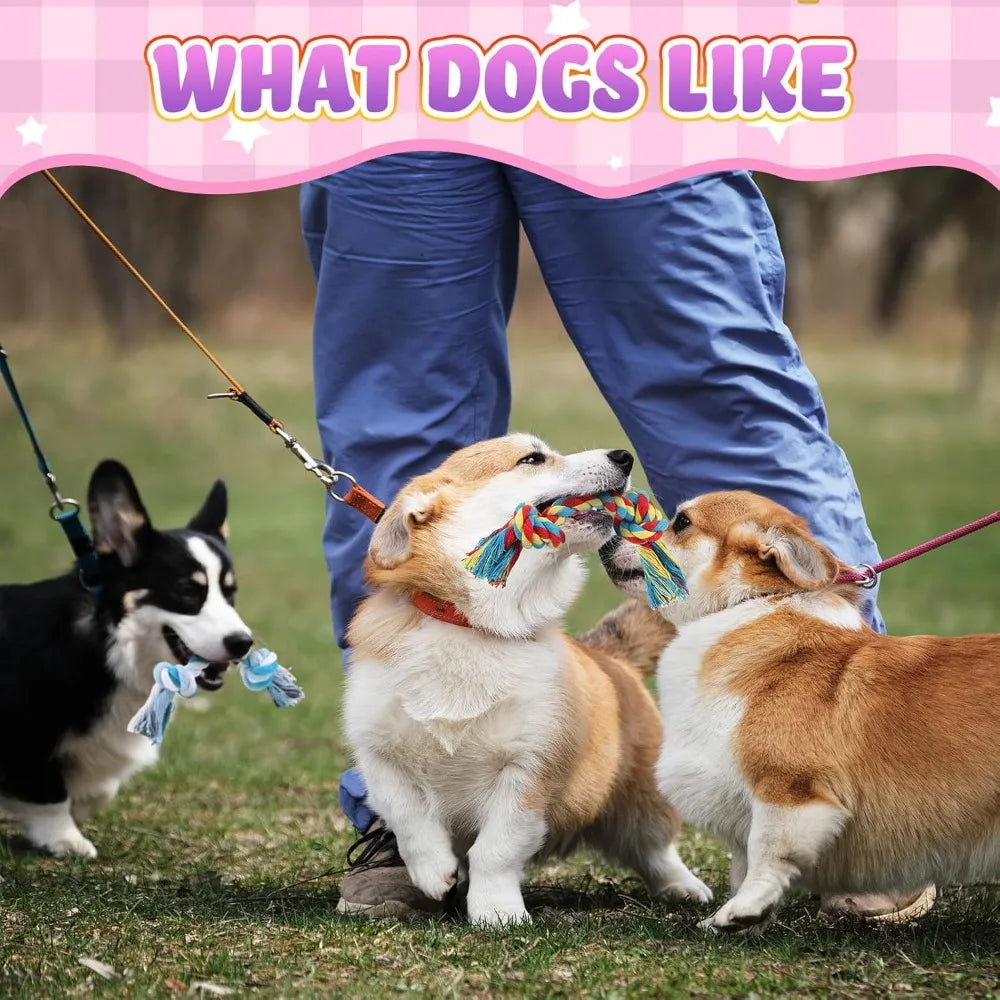 Syhood 48 Pcs Dog Toys Bulk Chew Ropes Tug Of War Aggressive