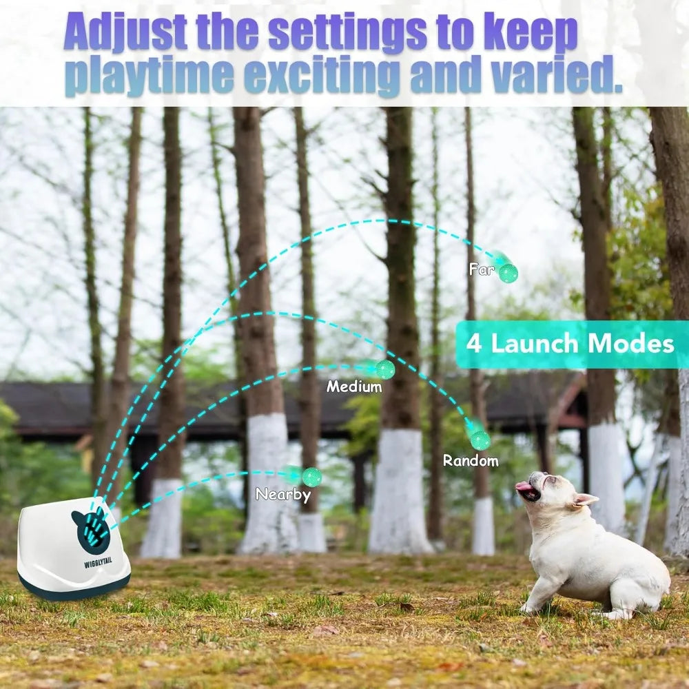 Hign-concerned Automatic Ball Launcher For Dogs 4 Distances