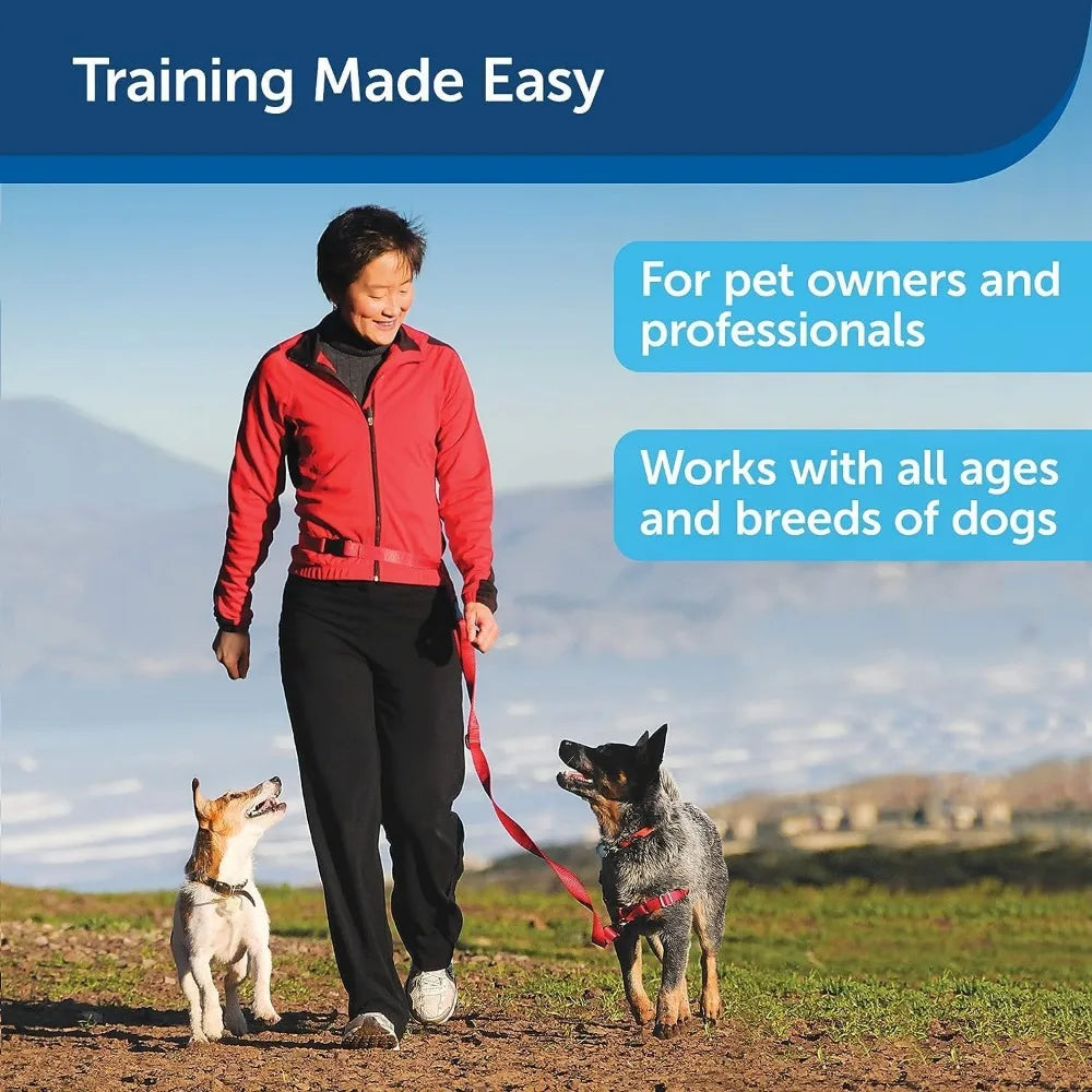 Treat And Train Remote Treat Dispensing Dog Training System