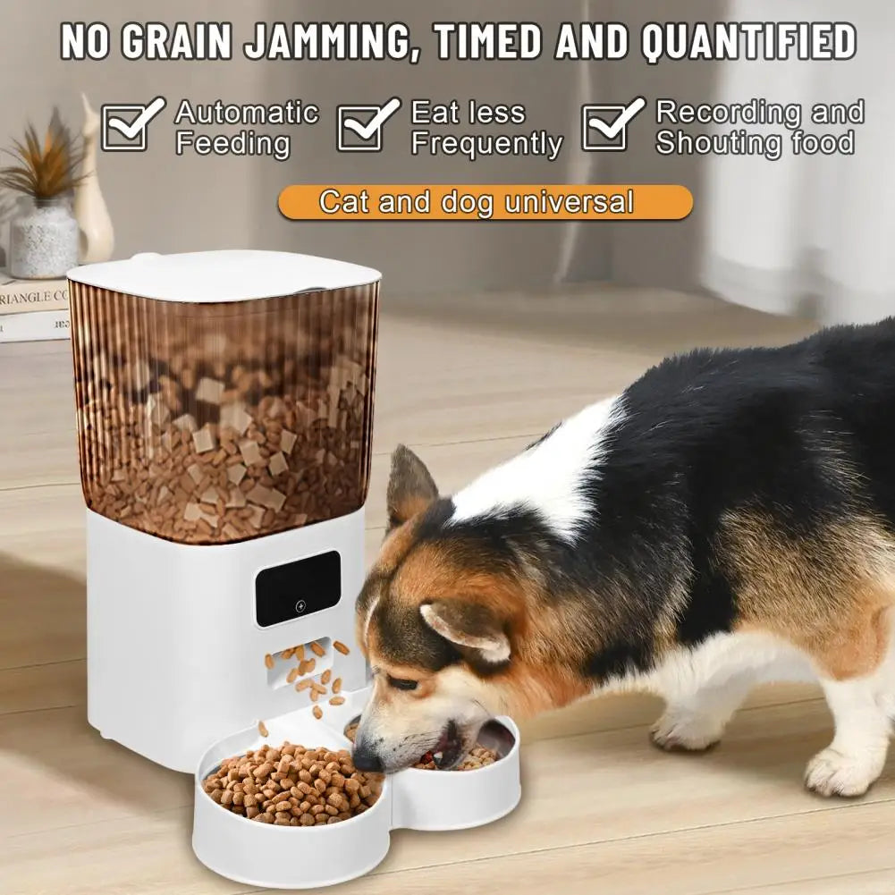 Luck And Rays Pet Supplies Smart Pet Feeder With Dual Bowls