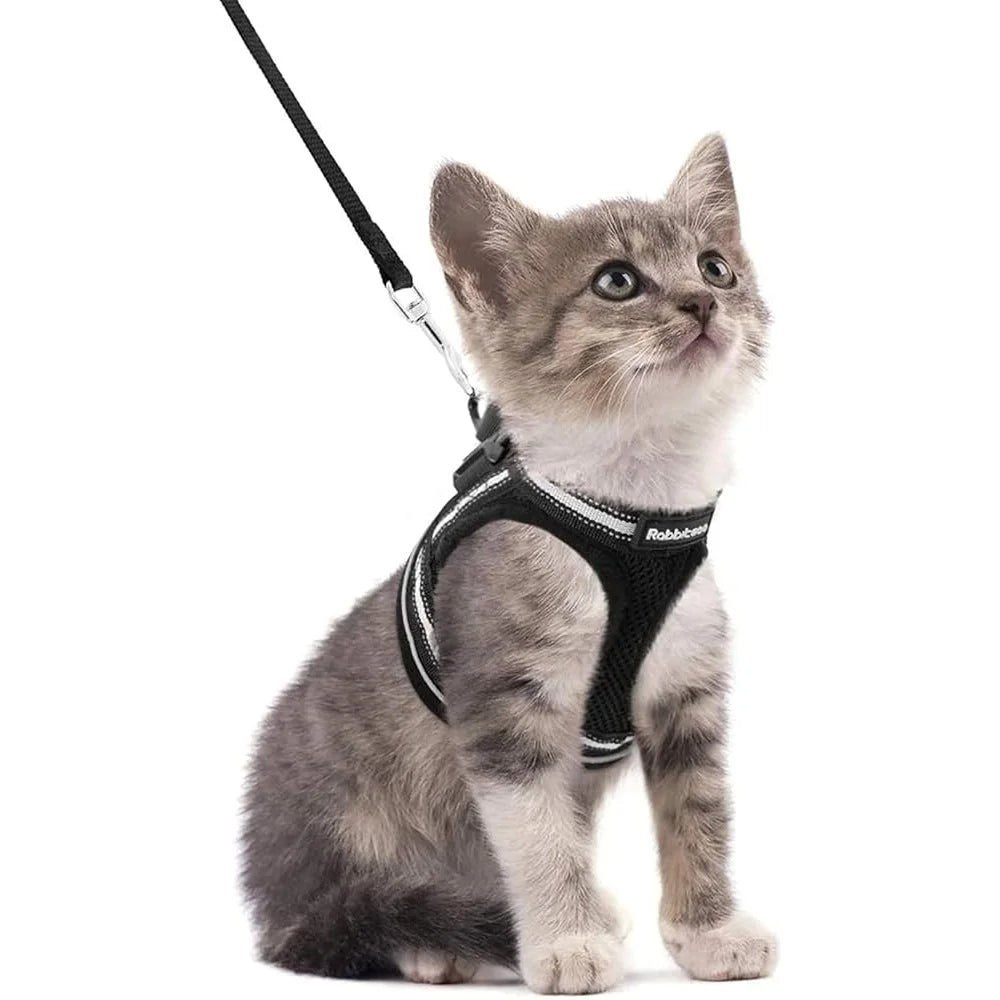 Fujian Cat Harness And Leash Set Escape Proof Reflective Vest