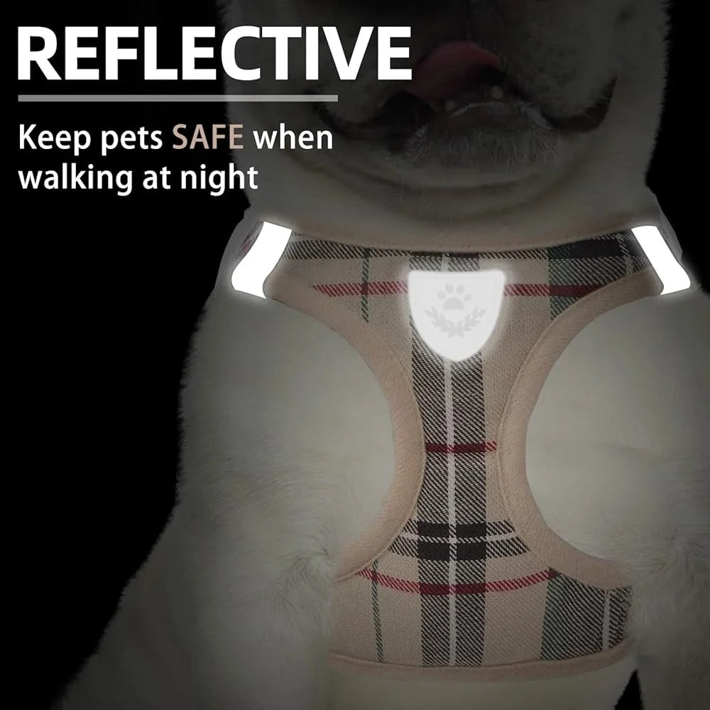 Fujian Adjustable No Pull Dog Harness Leash Set Breathable