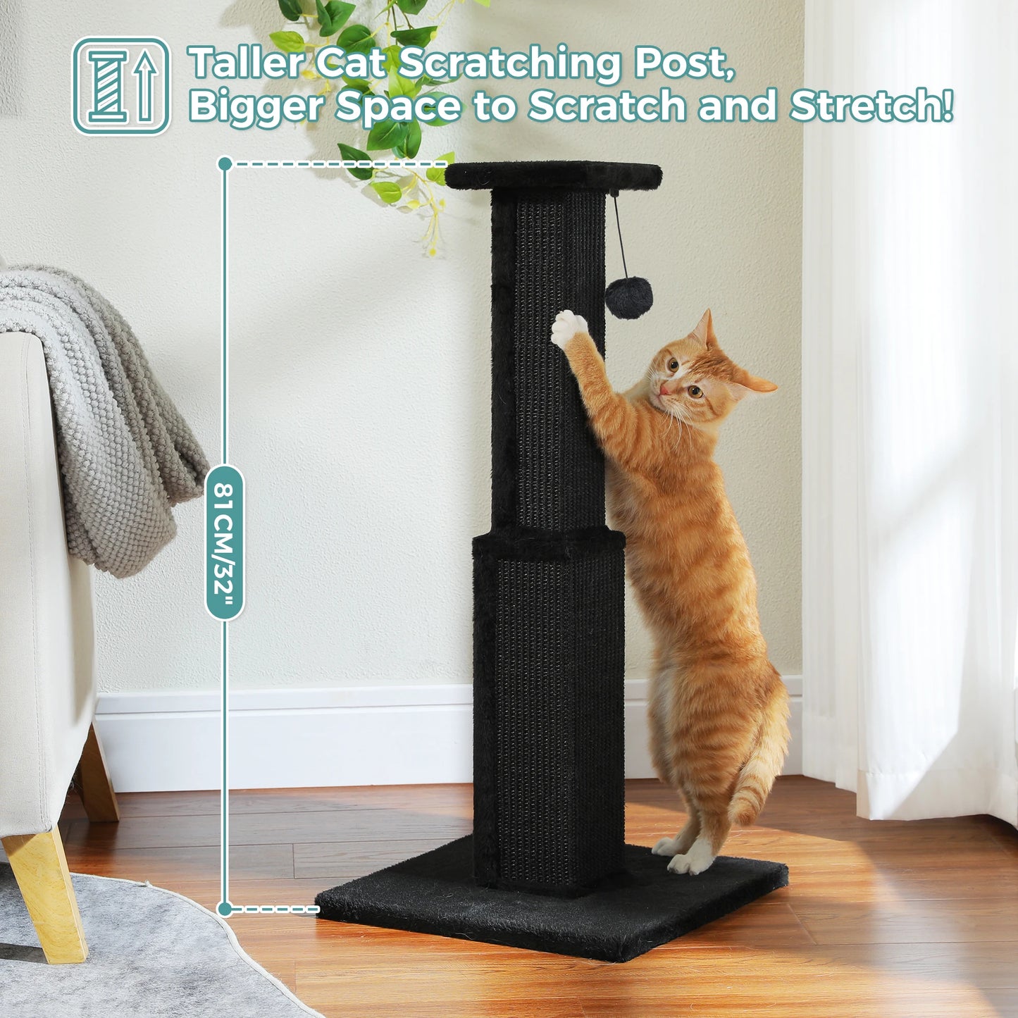 PAWZ Road Indoor Cat Scratching Post With Woven Sisal Toy