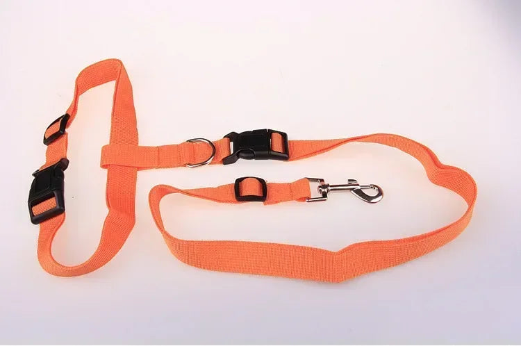 Guangdong Adjustable Pet Leash Harness Chest Belt 1PC