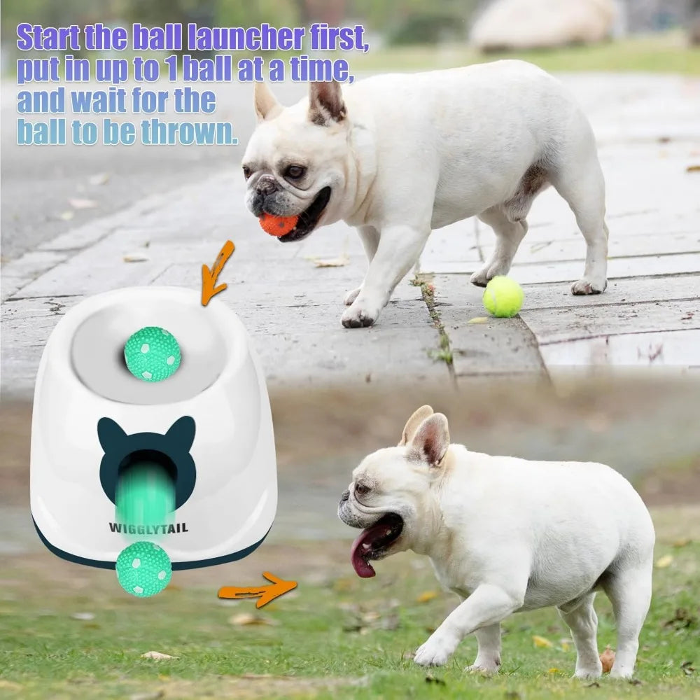 Hign-concerned Automatic Ball Launcher For Dogs 4 Distances