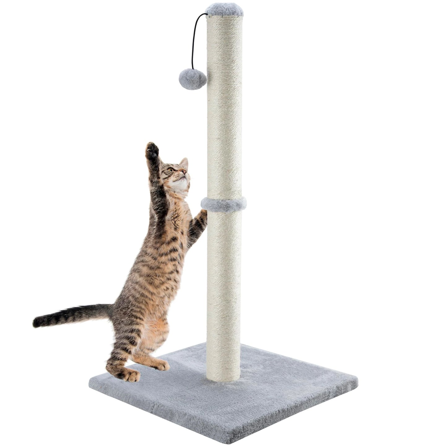 Indoor Cat Scratching Post With Dangling Ball Premium Sisal