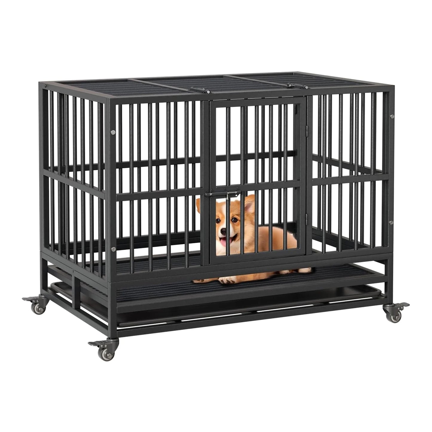DishyKooker Foldable Indoor Dog Cage With Double Door