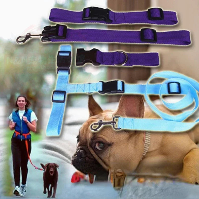 Guangdong Adjustable Pet Leash Harness Chest Belt 1PC