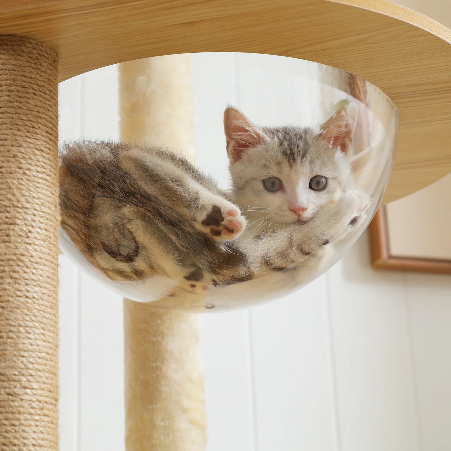 PAWZ Road Multi Level Cat Tree Indoor Wood Tower Scratcher