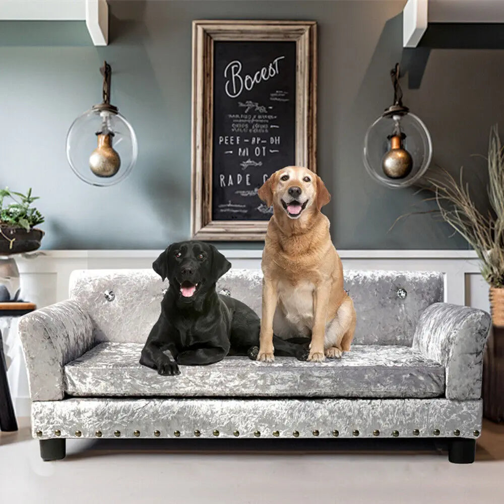 Borwartcn Luxury Velvet Tufted Dog Sofa Bed Elevated Pet Bed