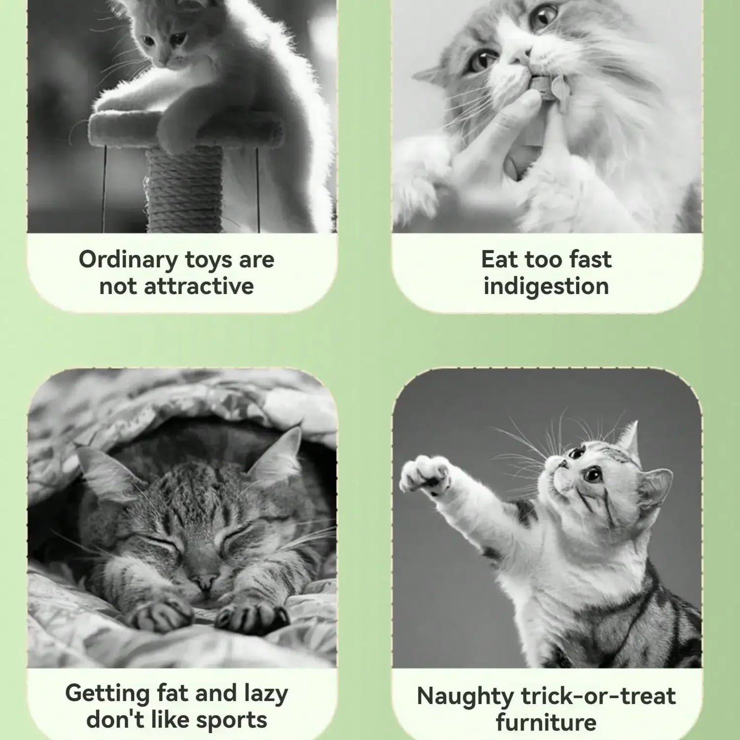 Guangdong Planet Snack Dispenser Cat Toy Interactive Play