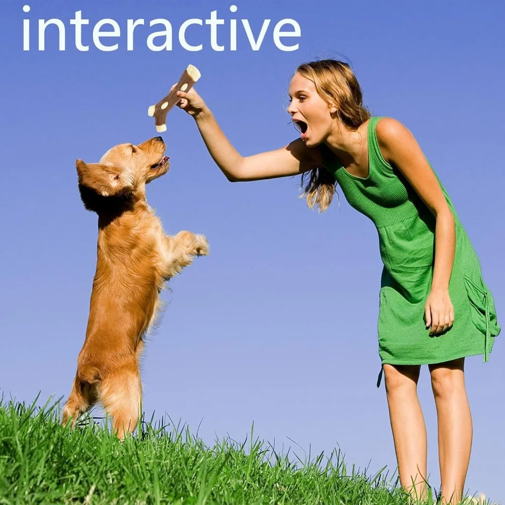 Indestructible Large Dog Chew Toys For Aggressive Chewers