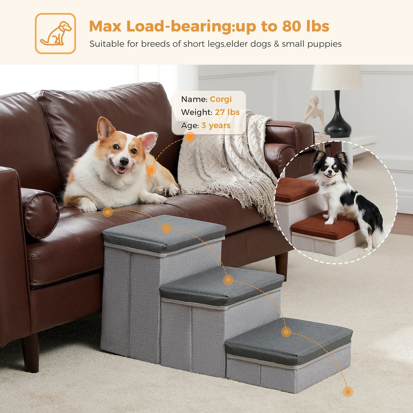 PAWZ Road Three Tier Foldable Dog Stairs With Storage Box