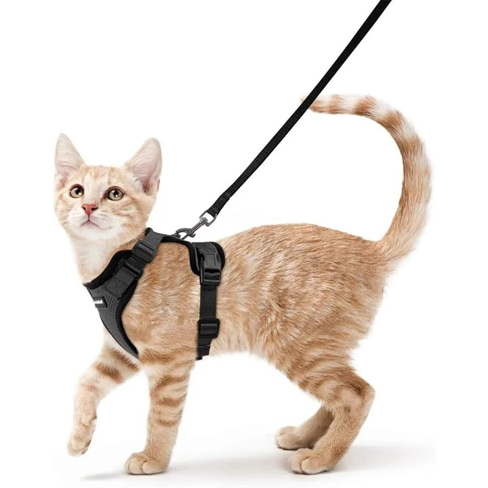 Fujian Cat Harness And Leash Escape Proof Adjustable