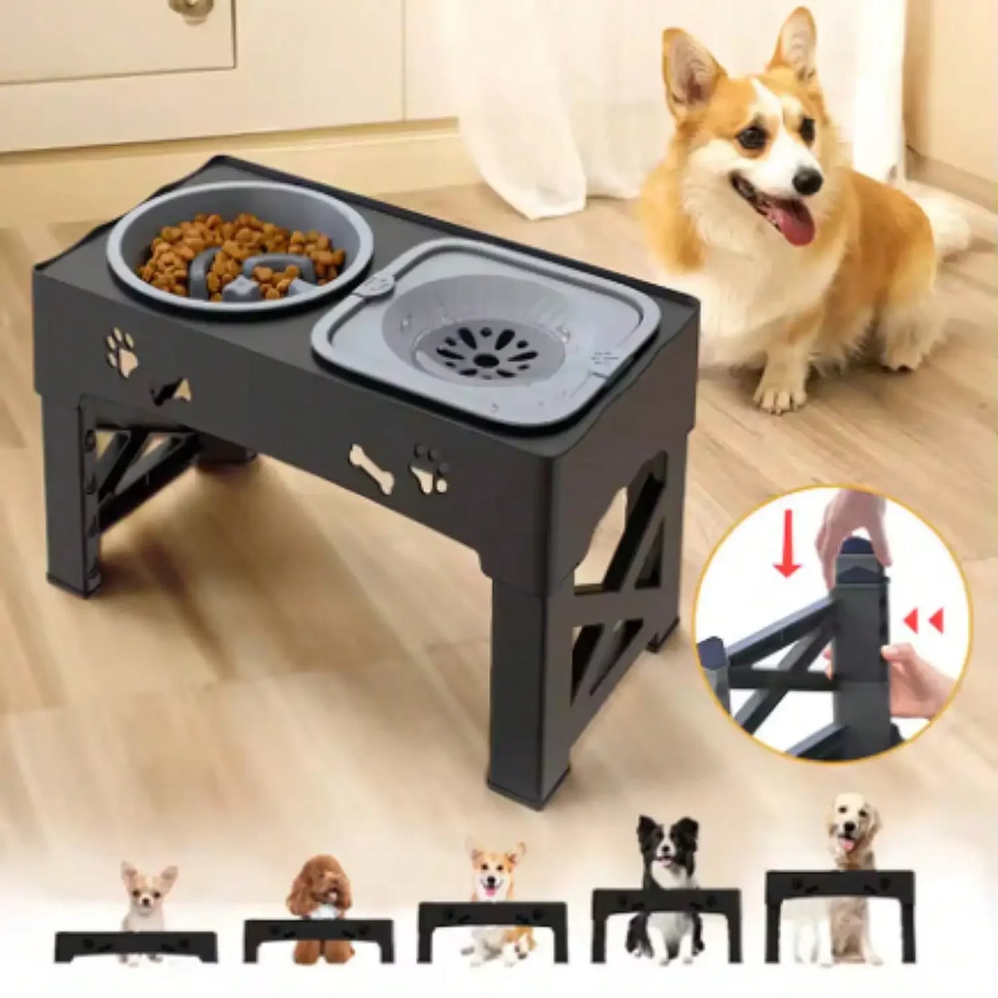 Hign-Concerned Double Bowl Pet Feeder With Adjustable Height